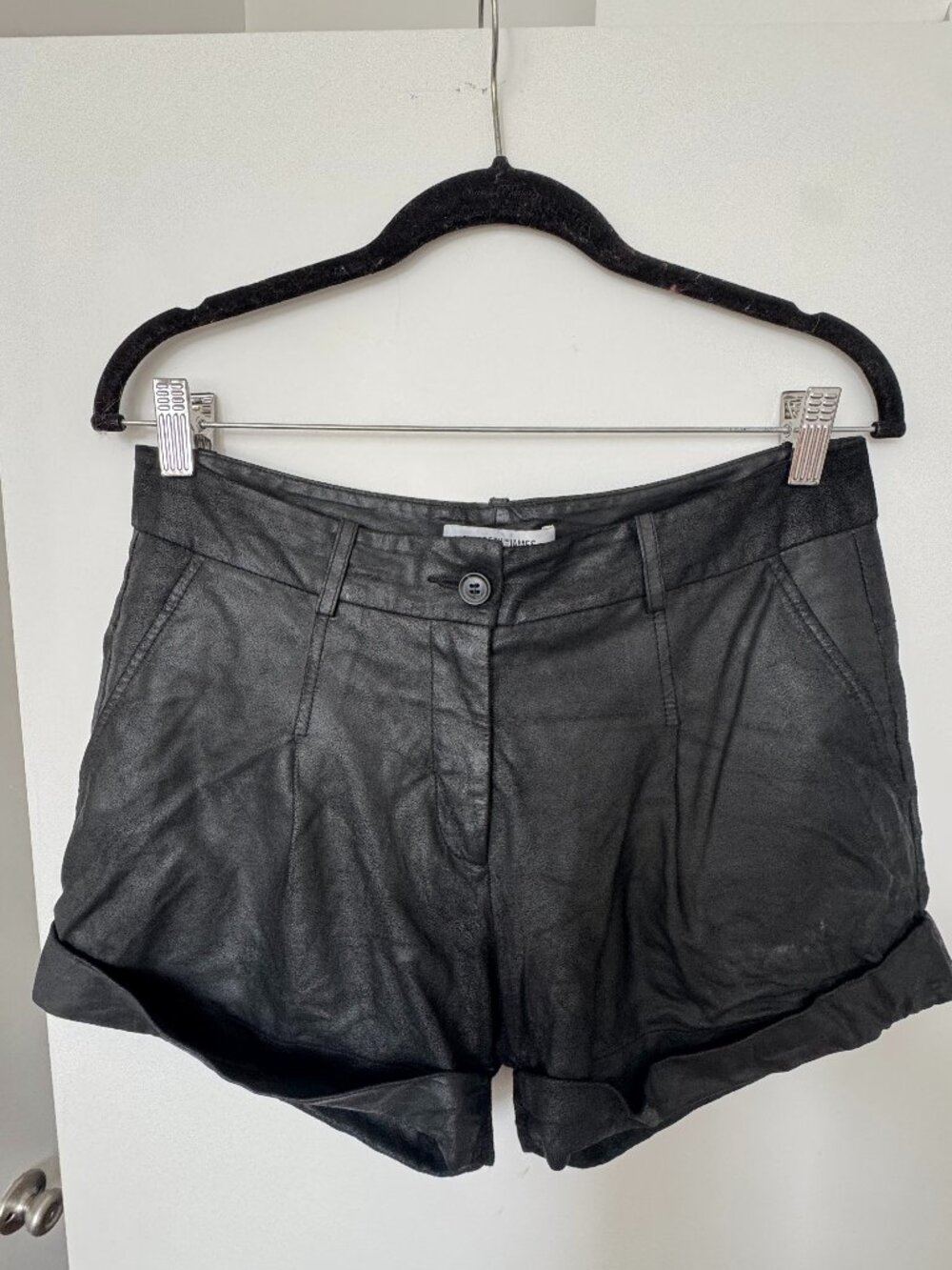 Elizabeth & James leather shorts